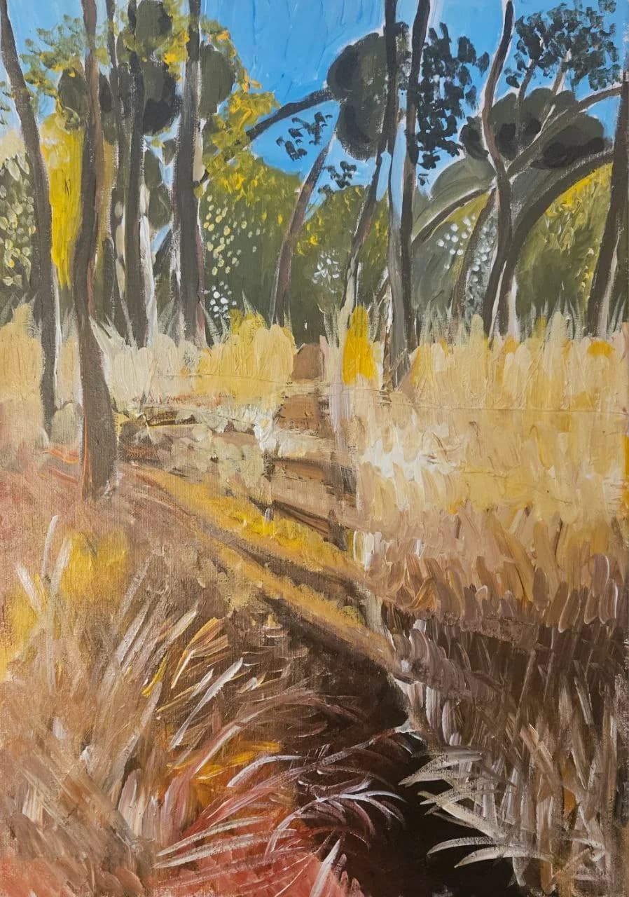 יער ירושלים בסתיו