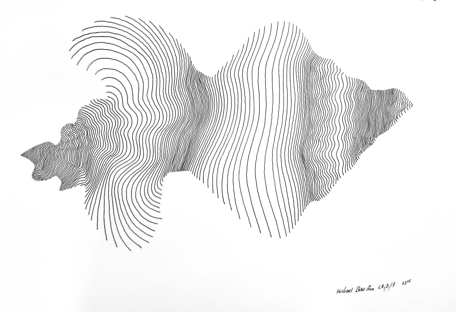 דגים בתנועה