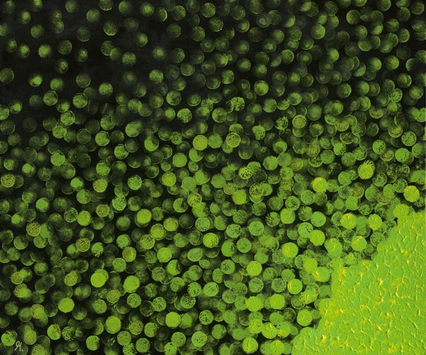 Marina Santoro cover