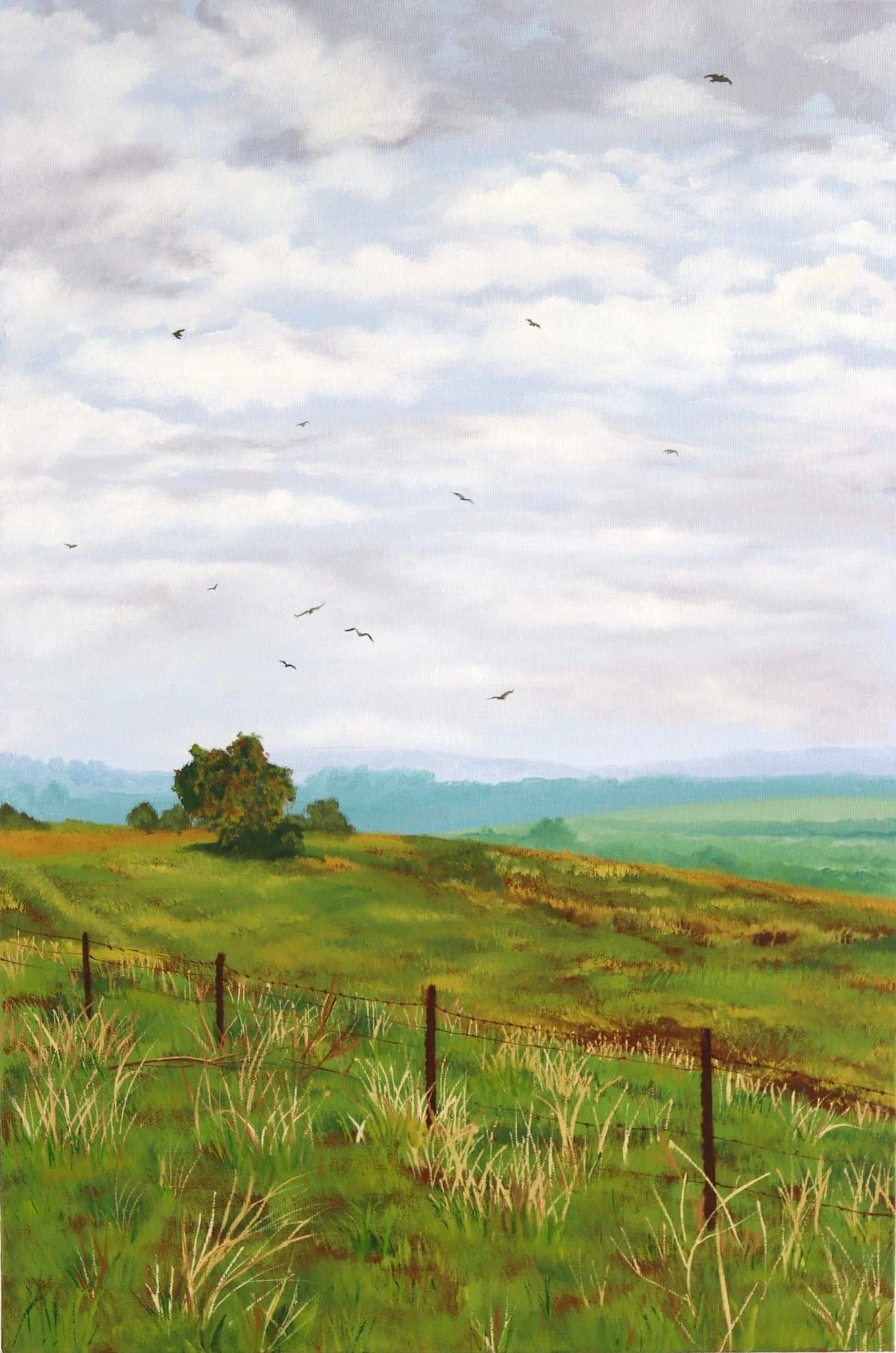 Early Winter Tranquility