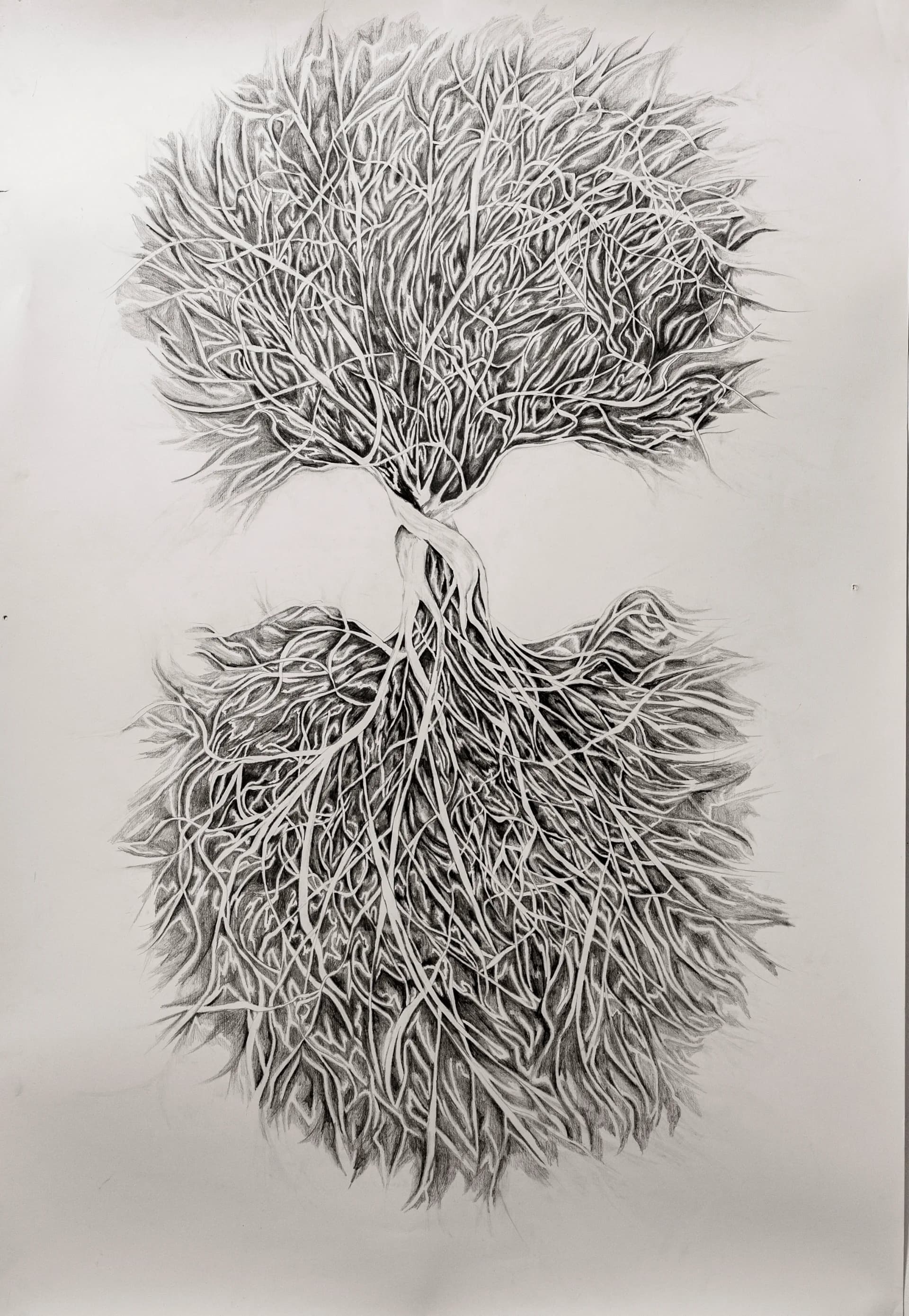 שורשו בשמיים, 2024