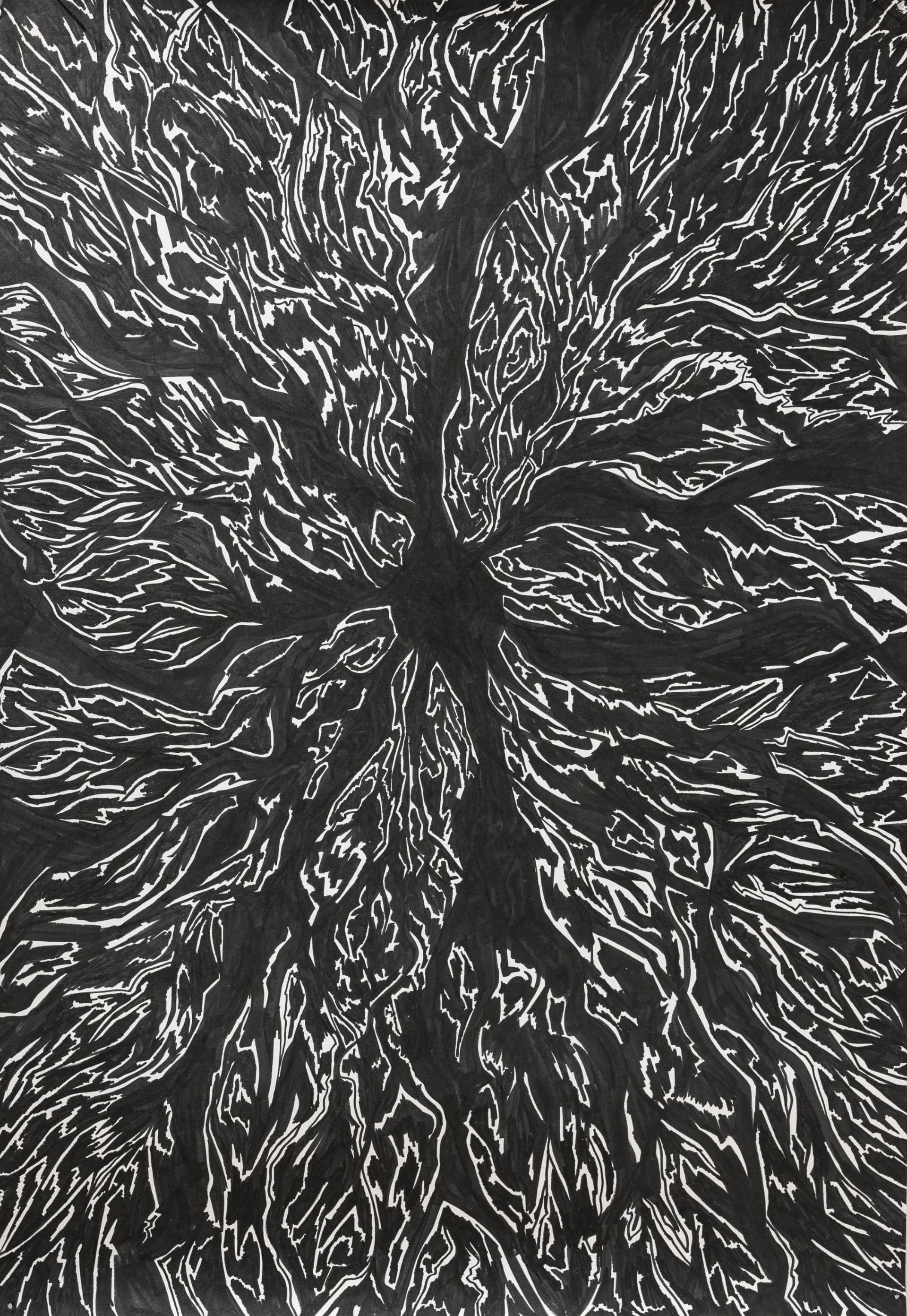 תחושת בטן, 2024