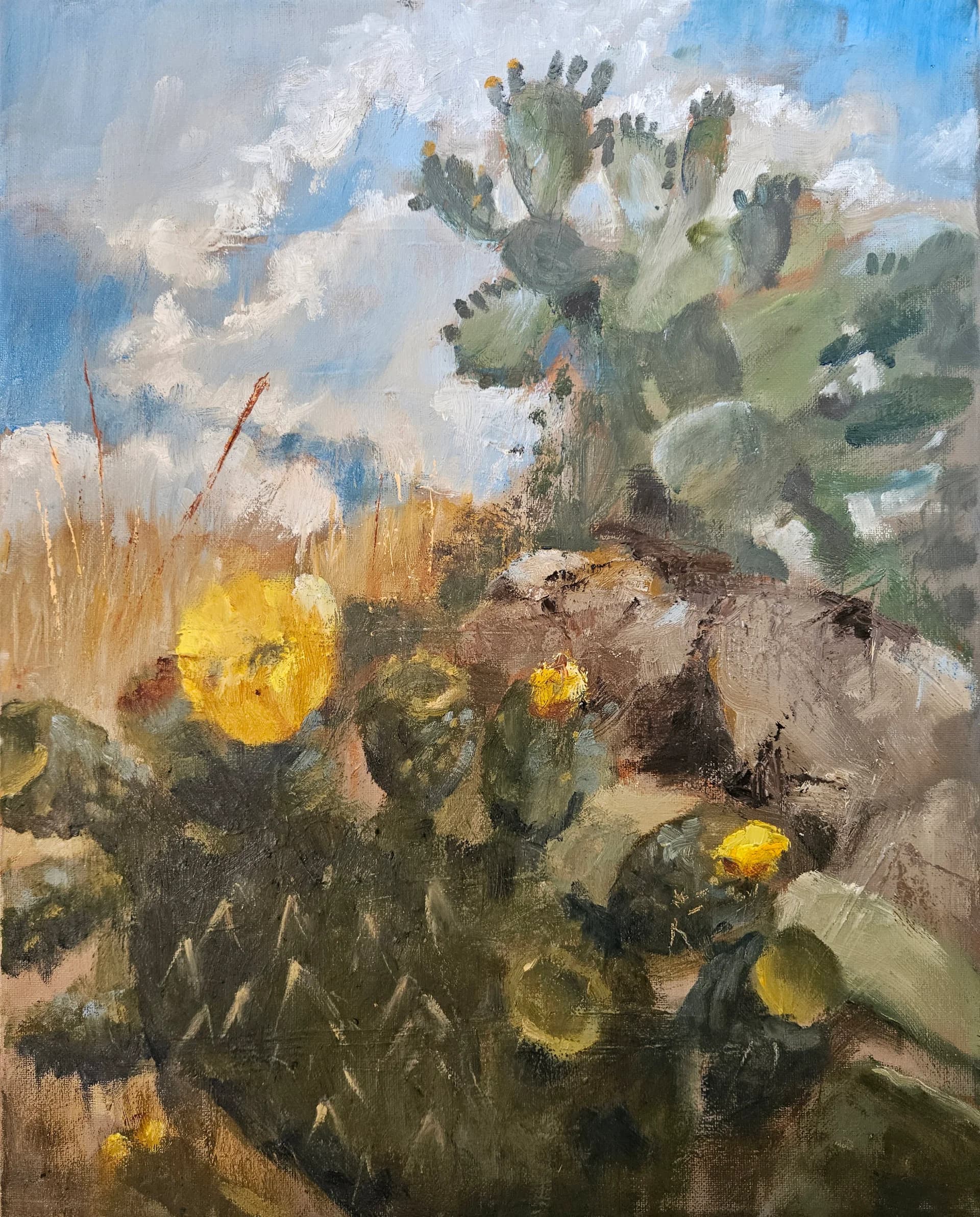 The Land of the Sabra