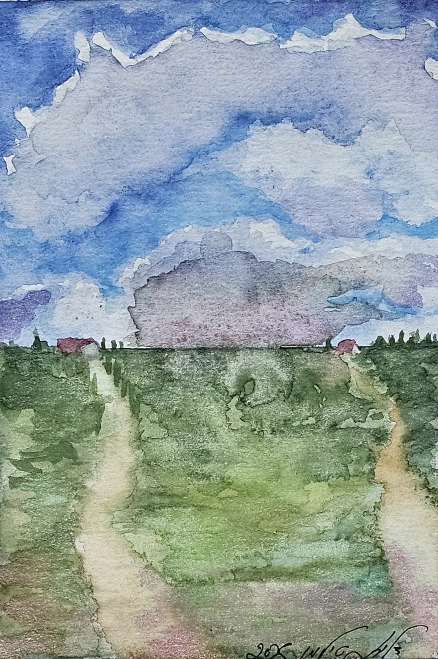 שבילים בשדה