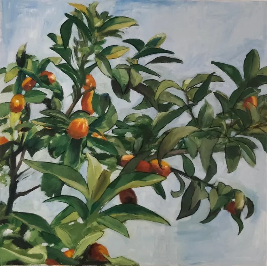 Kumquat tree