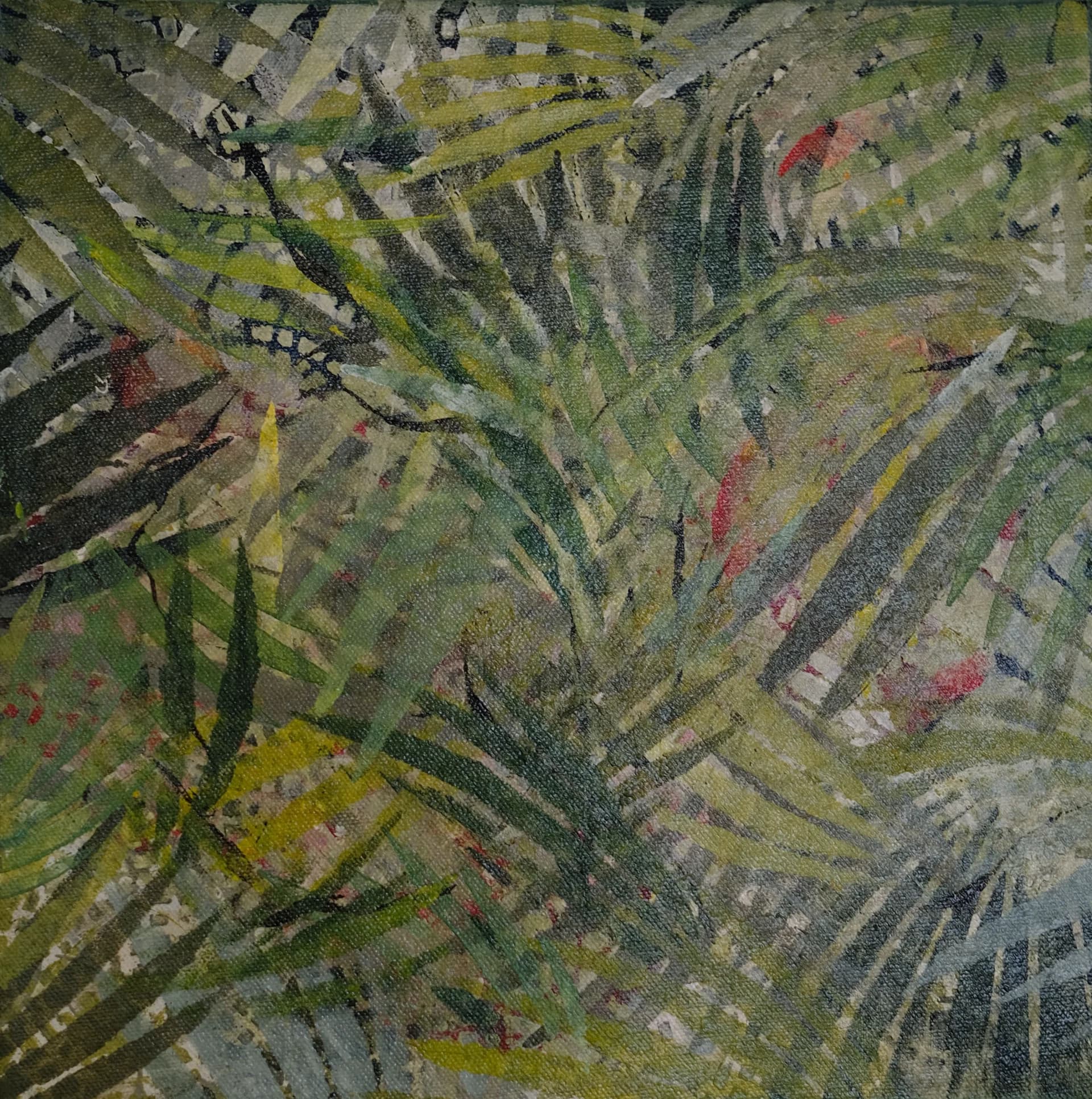 סבך בירוק - I