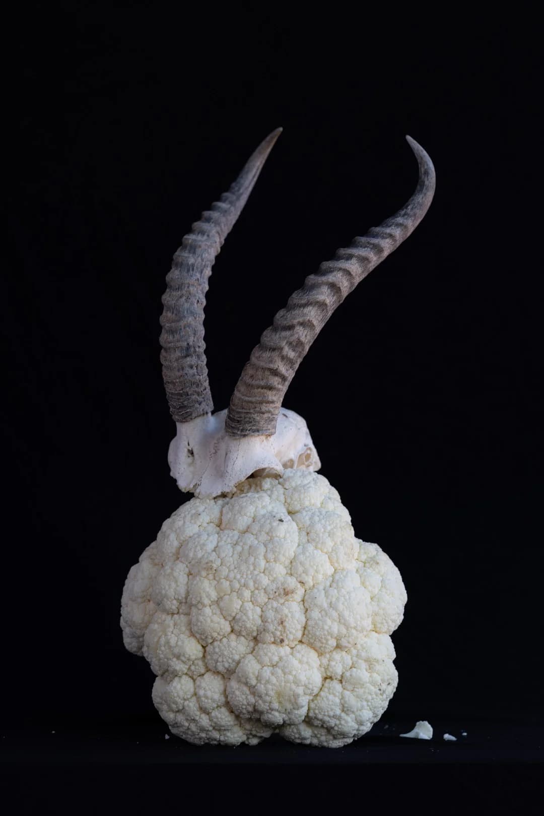 I Didn't Try to Understand