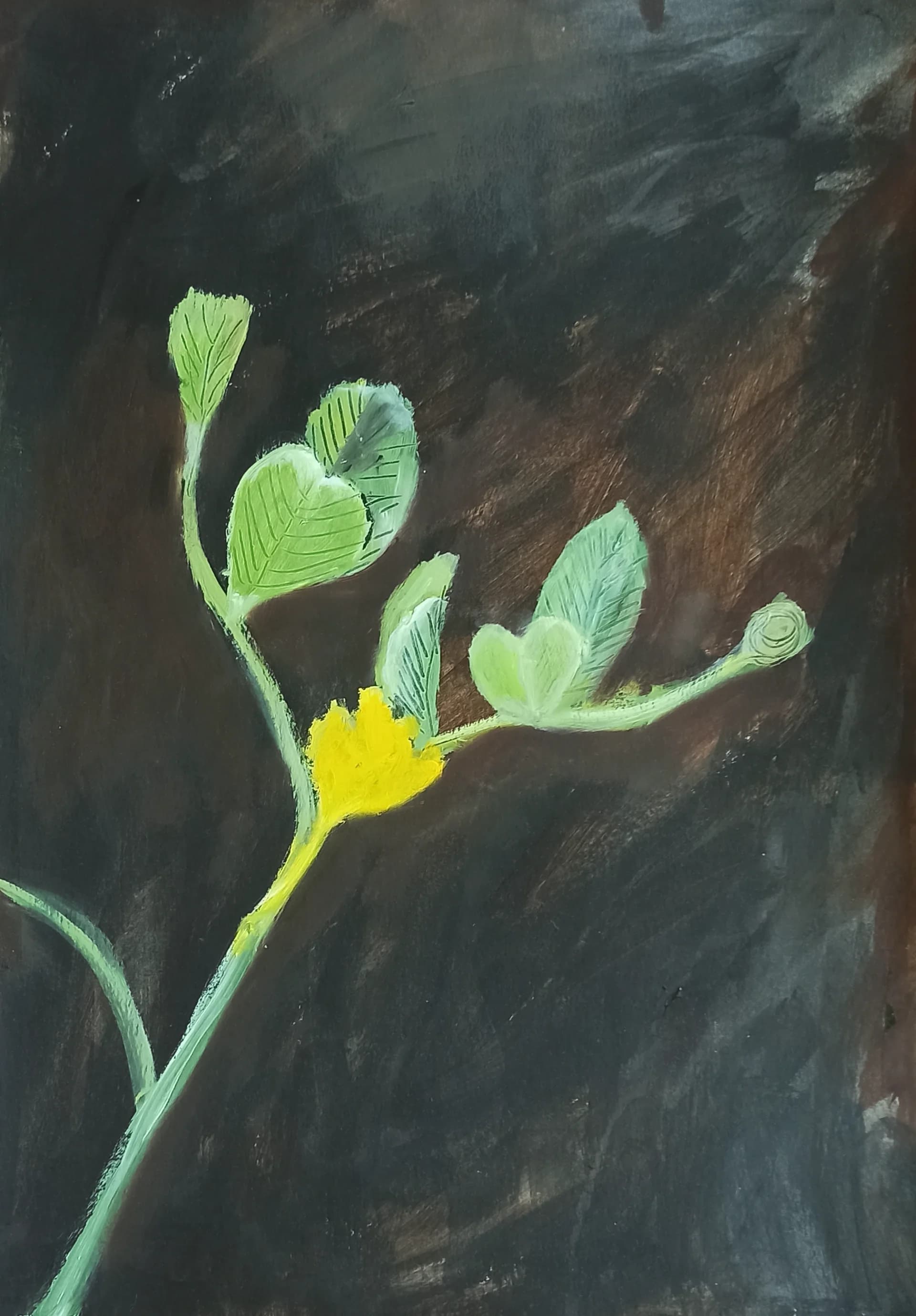 Wildflowers - Common Asparagus