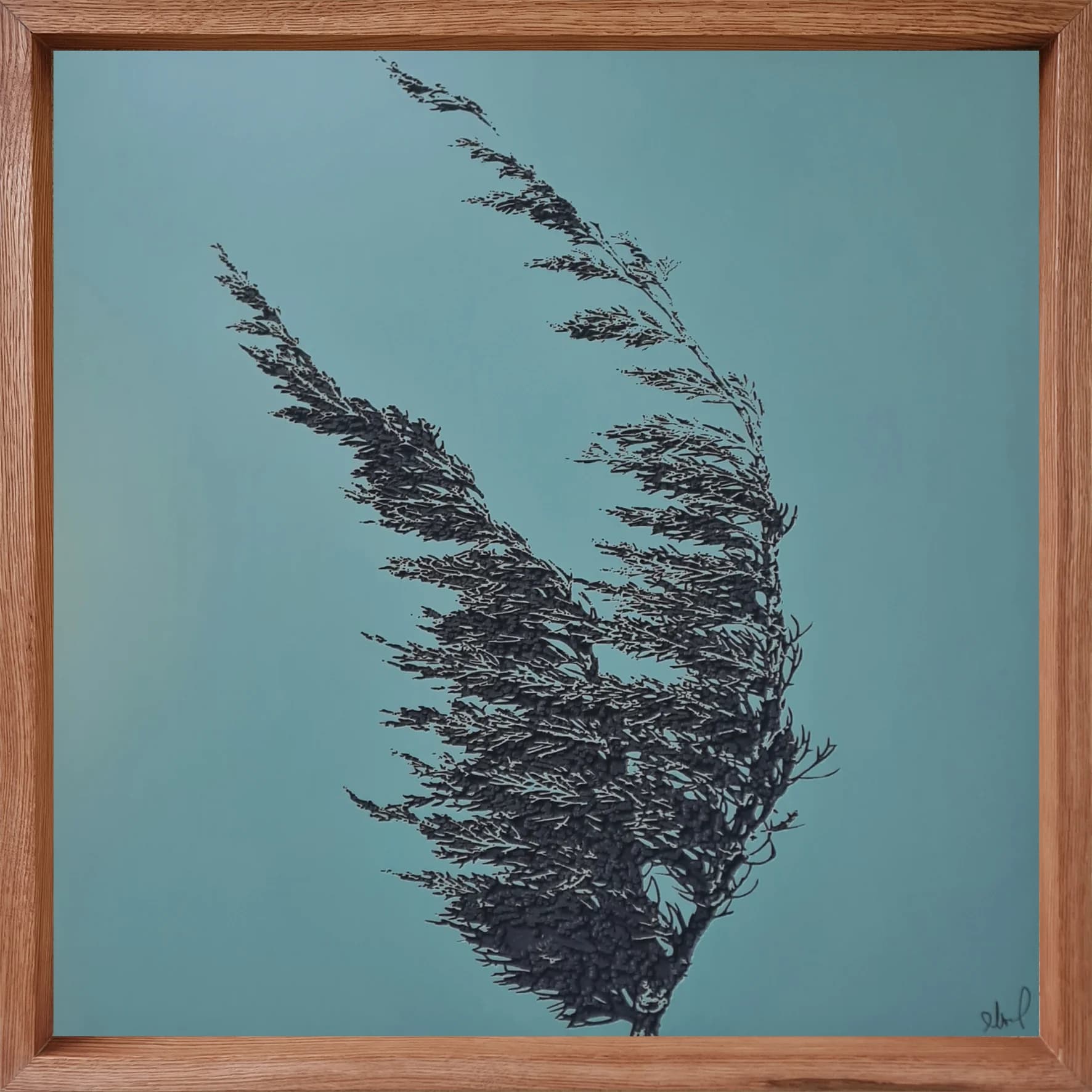 The cypress in the wind