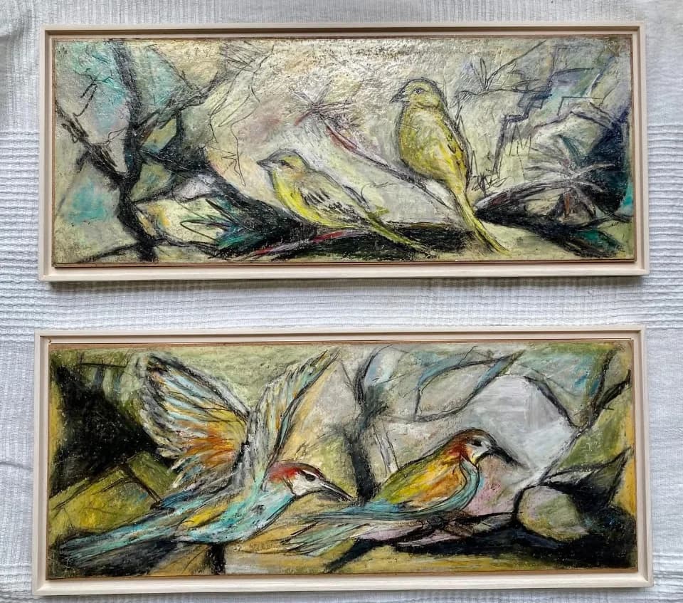 Birds of the Land of Israel - Panda chalk on a wooden board in freehand style