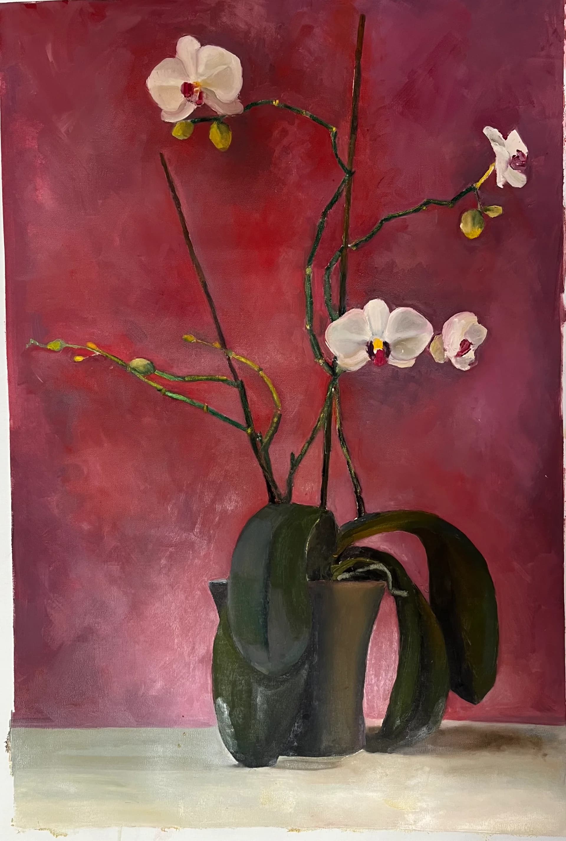 ืกืืื ืขื ืจืงืข ืืจืื