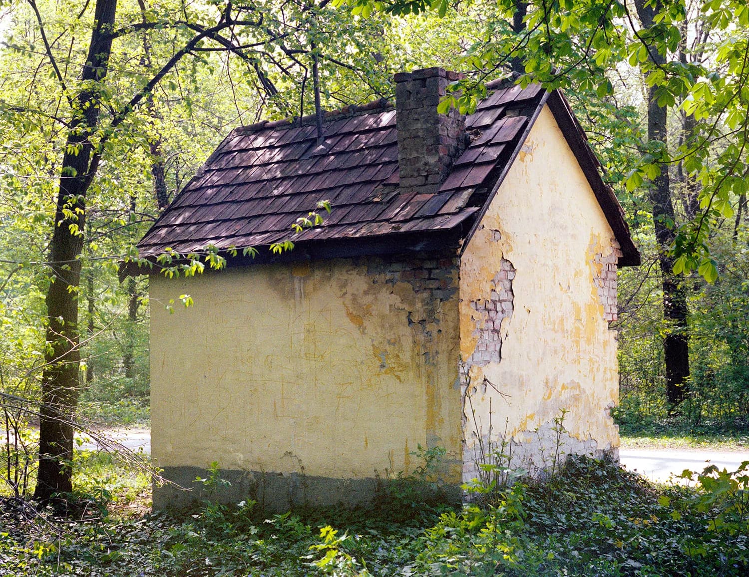 Little House in the Forest