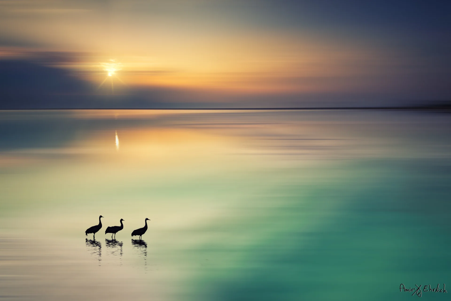 Imagination in pastel colors