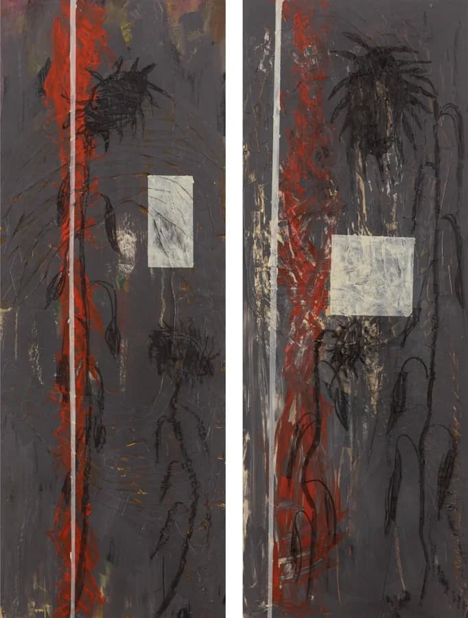 חמניות שחורות