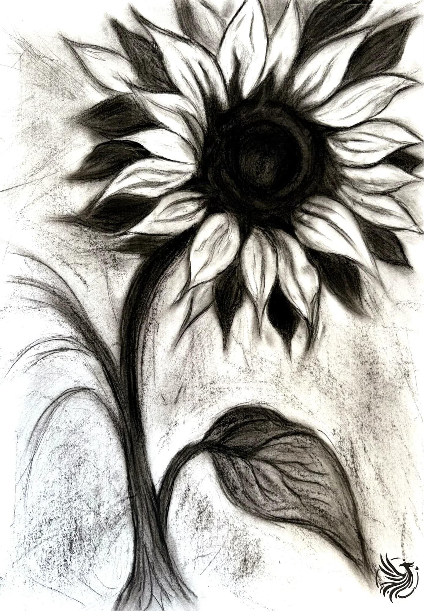 Black and White Sunflower