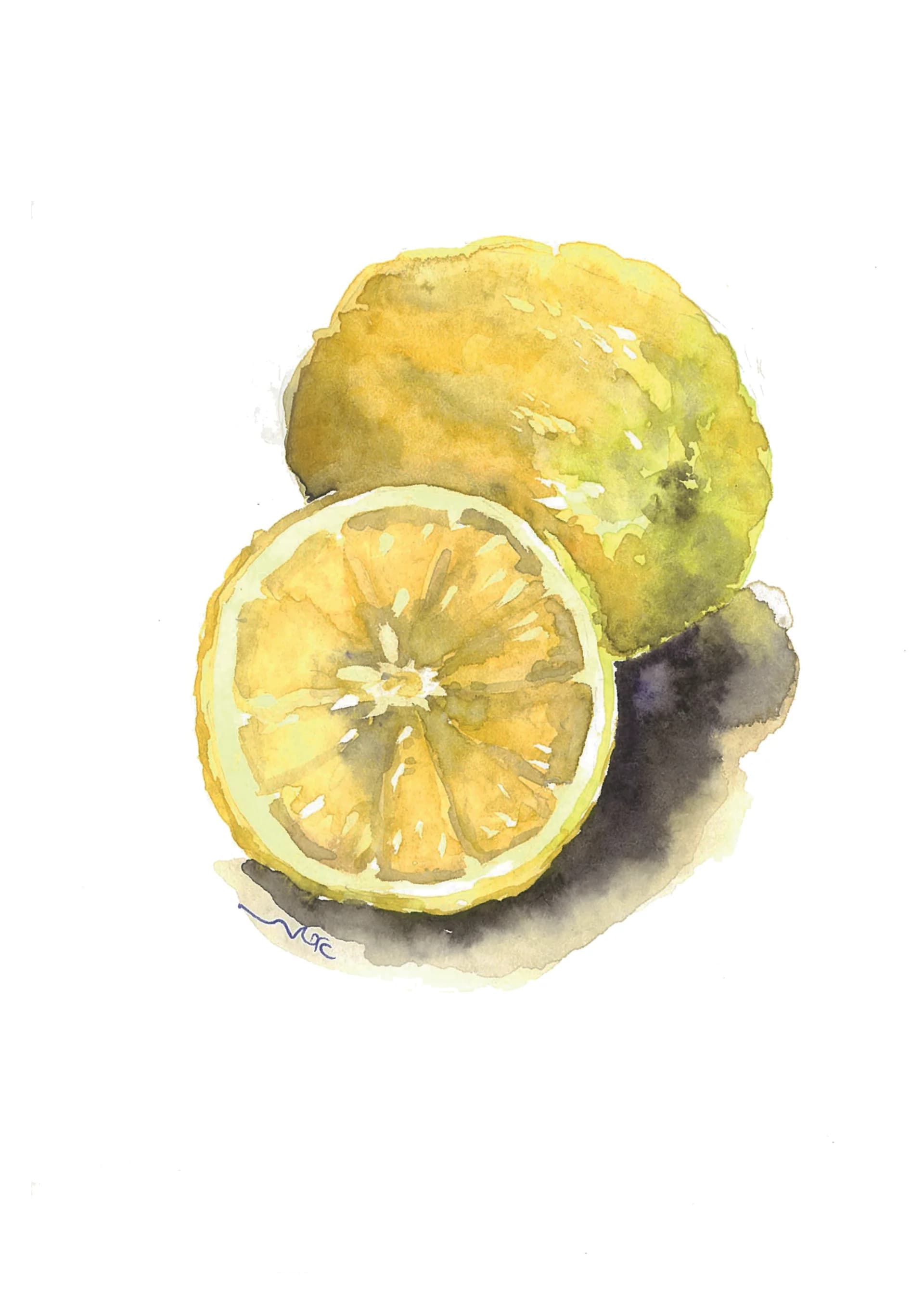 לימון, מקורי