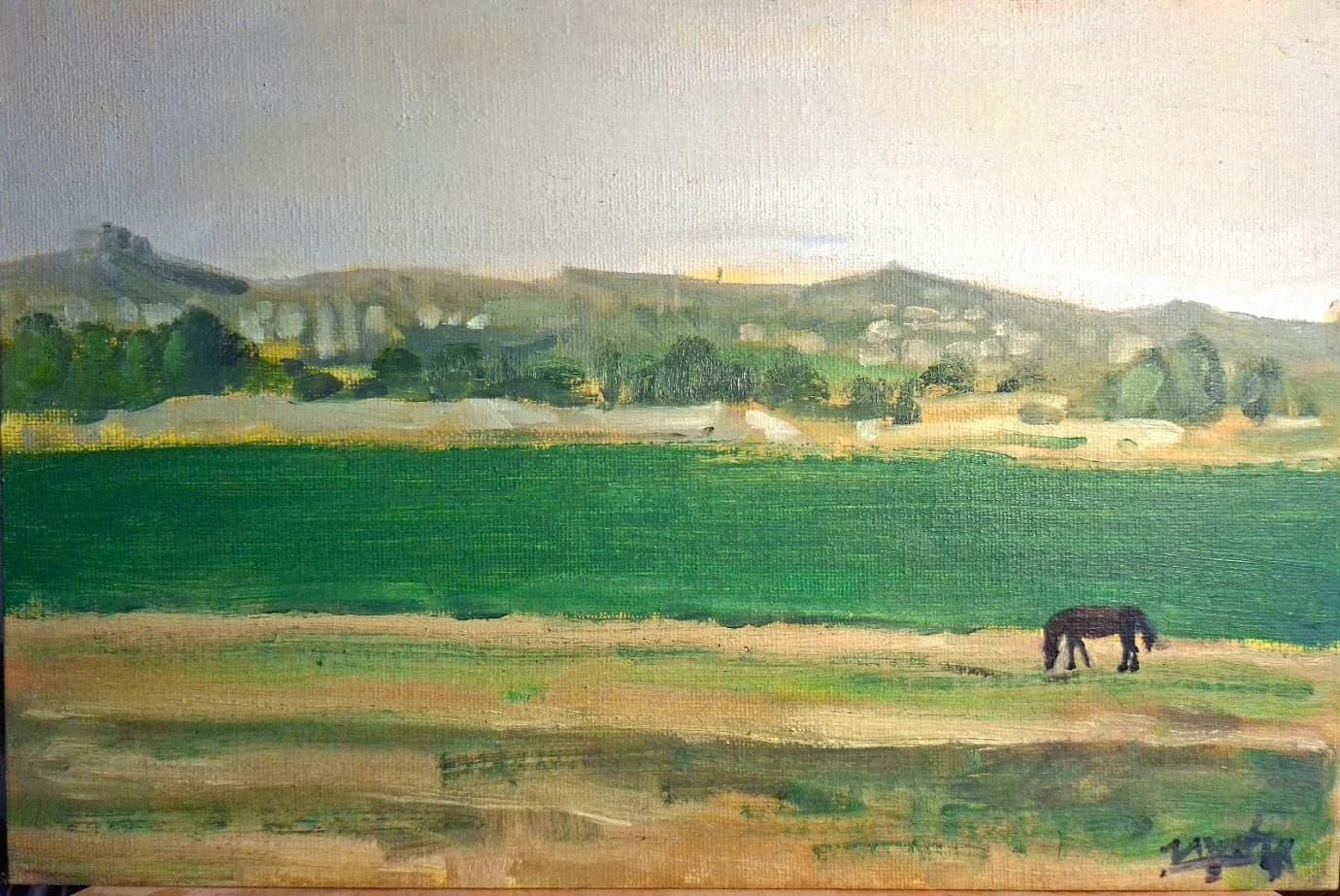 ืกืืก ืืืงืฉื