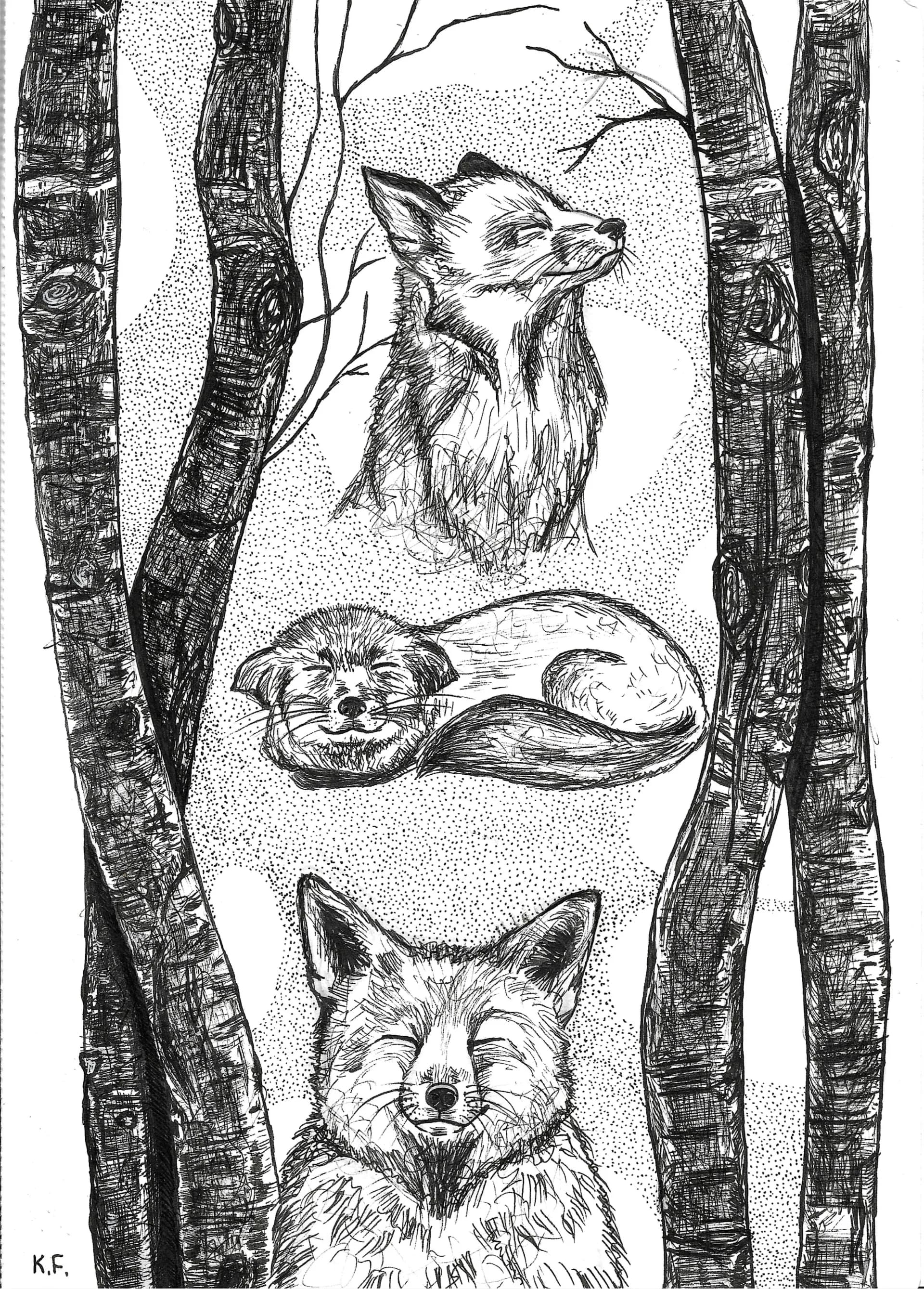 Between the trees