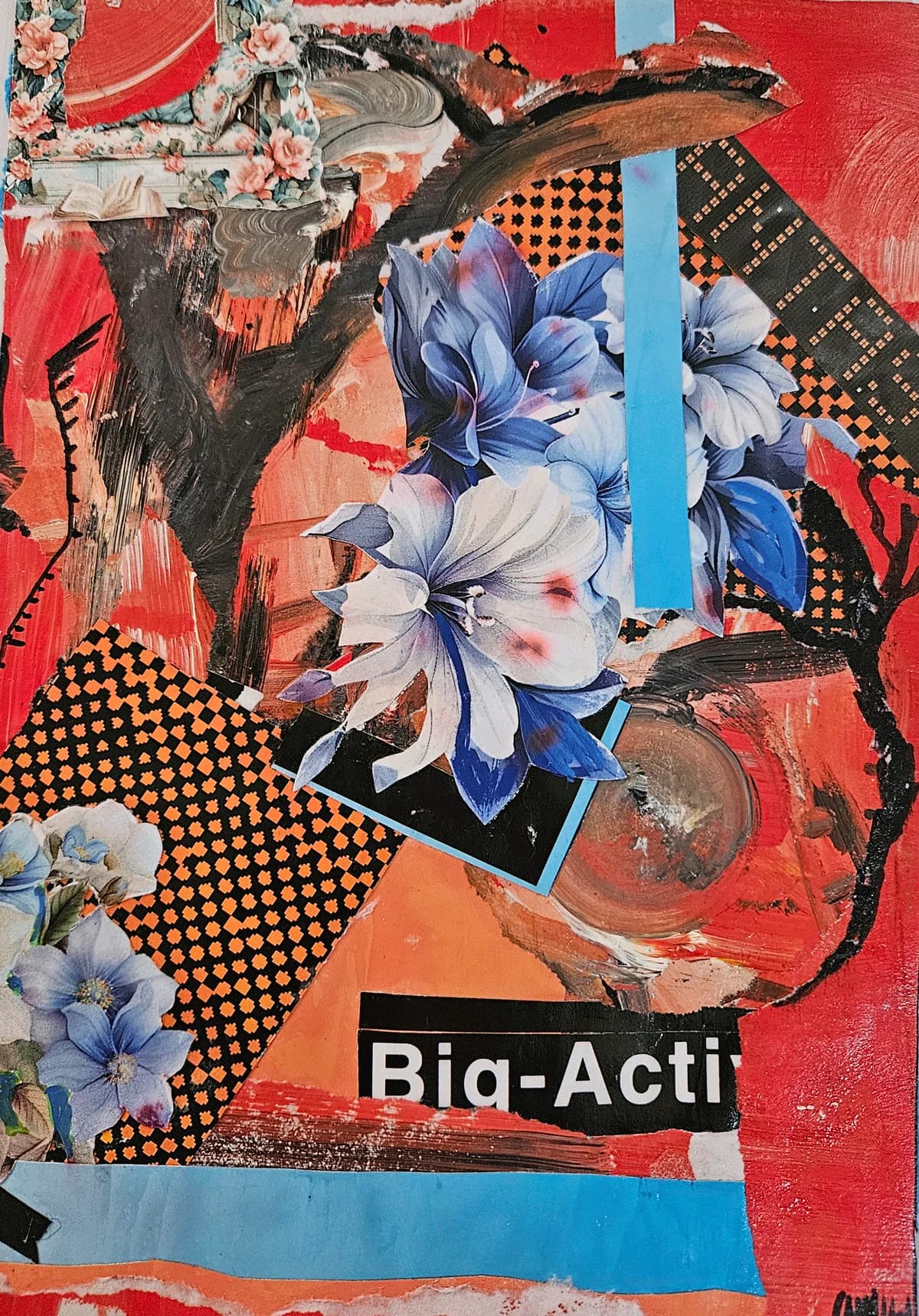 Fragment Bloom