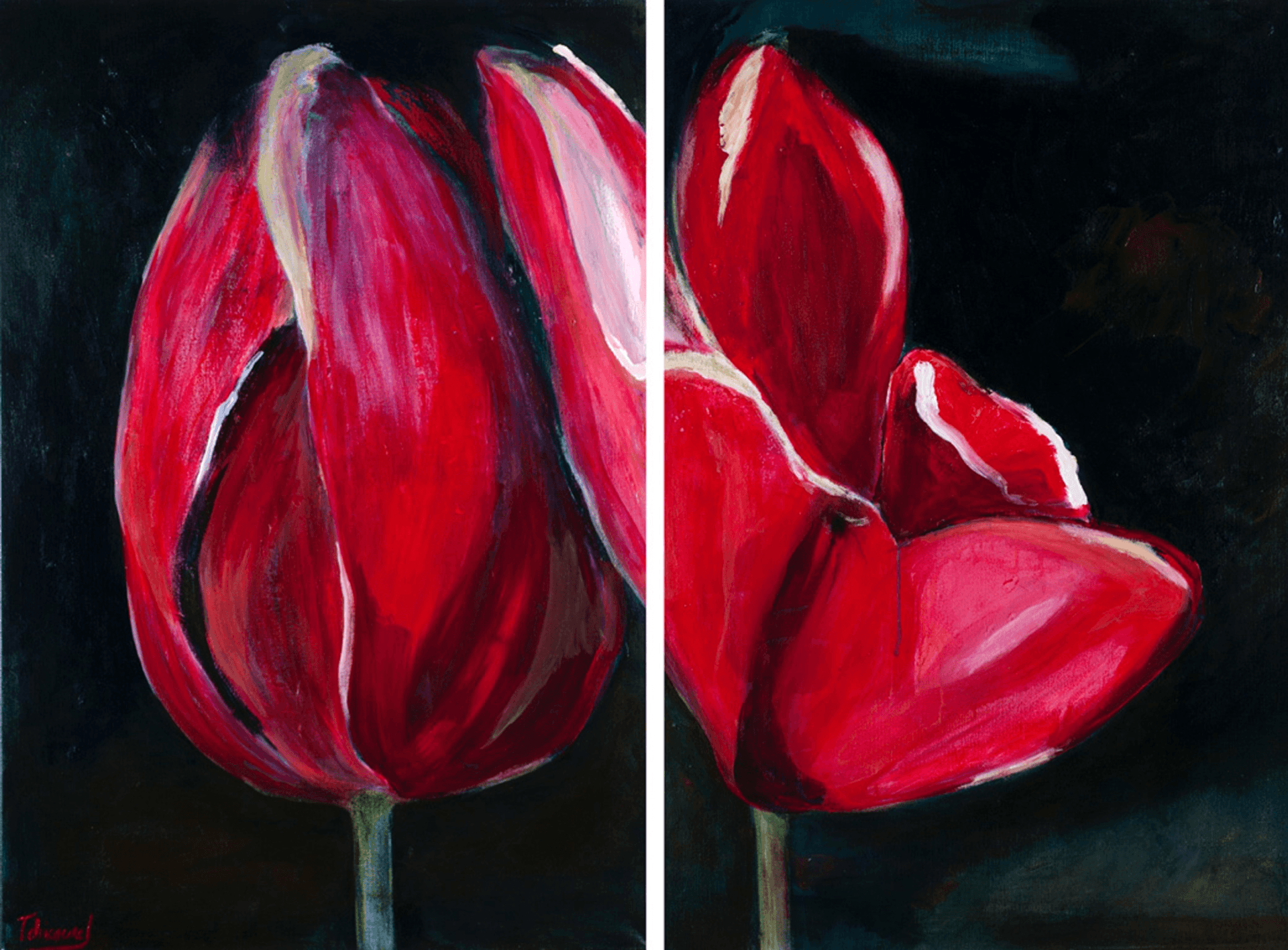 Bud and Bloom