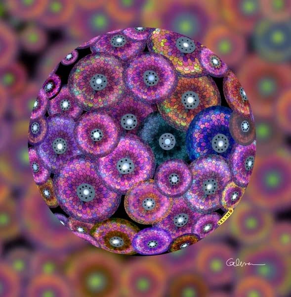 Flower"s Ball