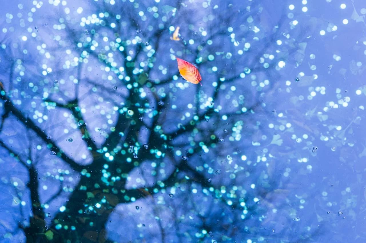 Michal Luzzatto artwork