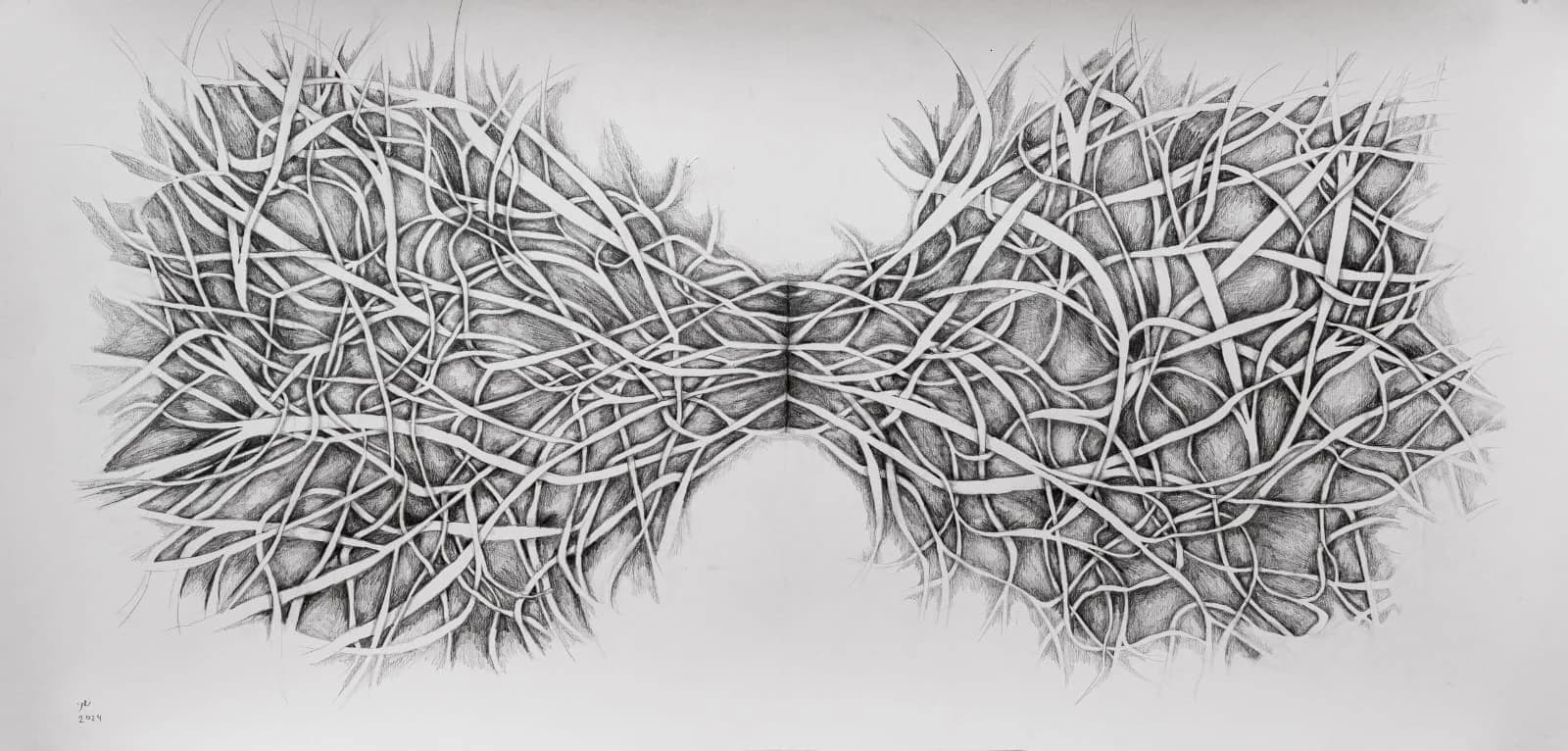 Shany Abramovich artwork