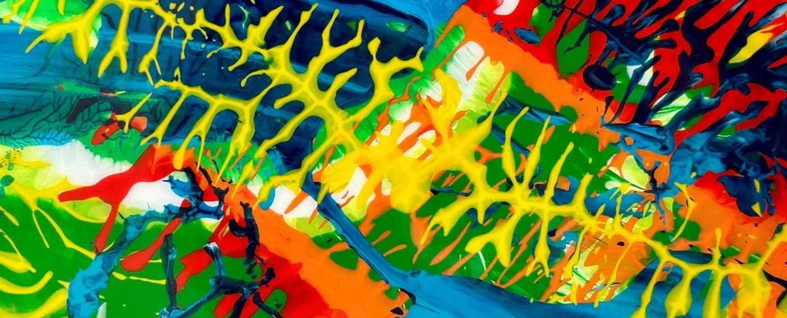 רוני פריסטר cover