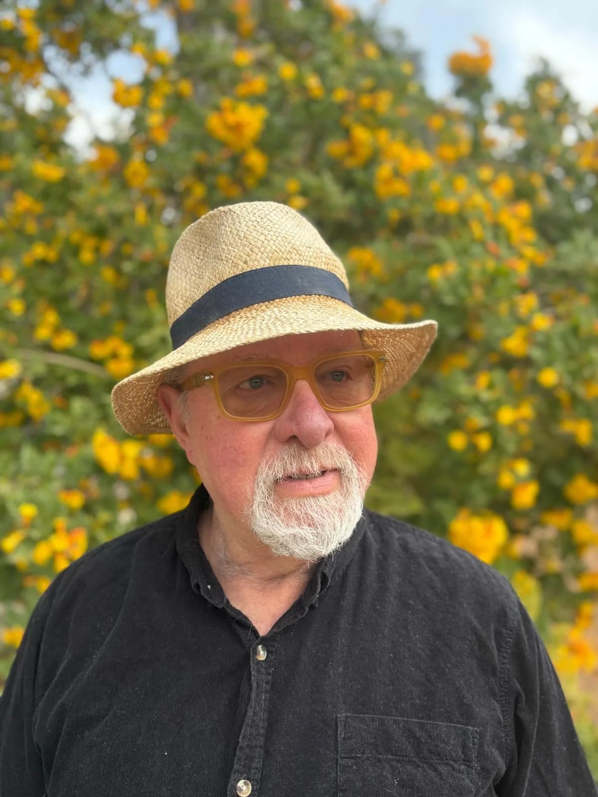 מאיר זימברג