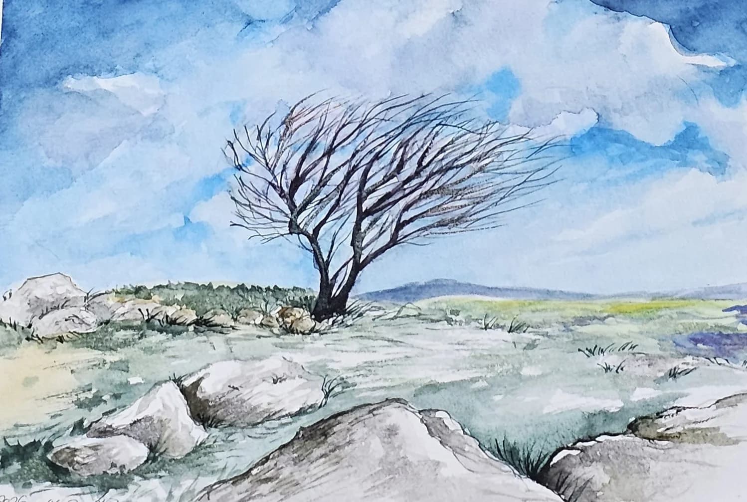 Dalit Tilleman cover