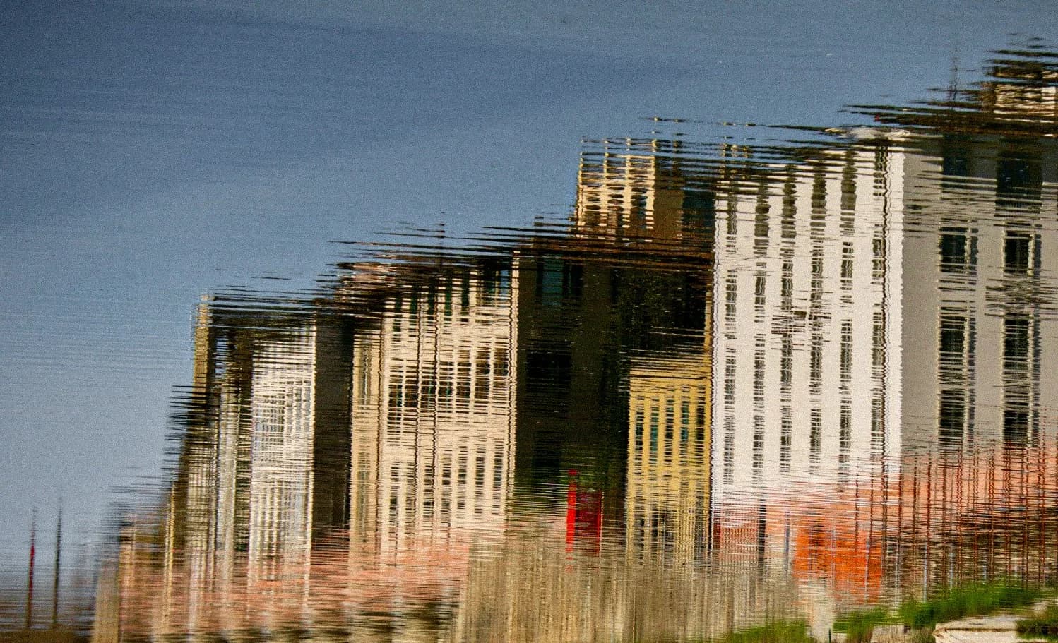 Shira Marcovich cover